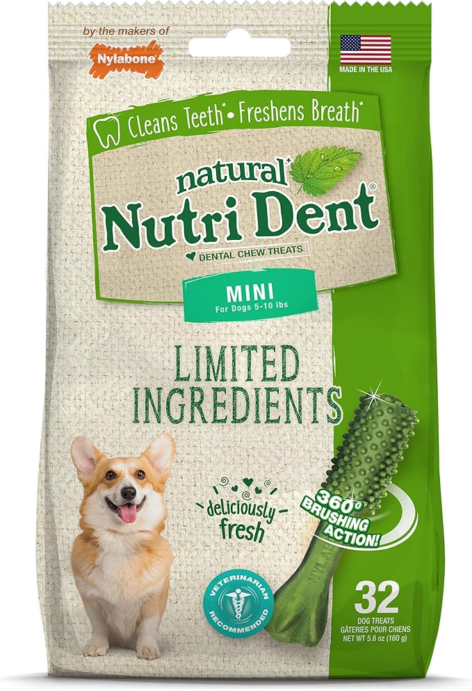 Nutri Dent Dog Dental Chews - Natural Dog Teeth Cleaning & Breath Freshener - Dental Treats for Dogs - Fresh Breath Flavor, Mini (32 Count)