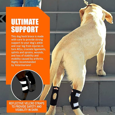 NeoAlly Cat and Dog Ankle Brace Pair Canine Rear Leg Hock Support with Safety Reflective Straps for Hind Leg Wounds Heal and Injuries and Sprains from Arthritis (XS Pair)