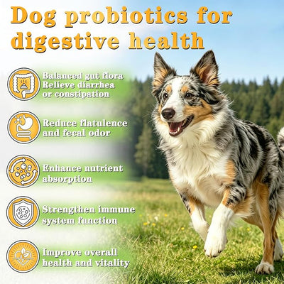 Probiotics for Dogs - Dog Probiotics for Digestive Health - 40 Billion CFU Dog Probiotic FOS Enzymes Pumpkin - Daily Gut Health for Sensitive Stomach Diarrhea Relief, Chicken Flavor, 120Ct