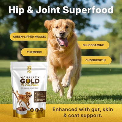 Mobility Gold Dog Broth Powder - Hip & Joint Superfood – Dry Dog Food Gravy Topper or Liquid Broth – Beef Liver, Glucosamine, Chondroitin and Natural Ingredients – 30 Scoop Pack