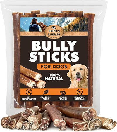 BRUTUS & BARNABY 6 Inch Bully Sticks for Dogs (12 Count) – Thick Grass-Fed Beef Pizzle Sticks, Odor Free Natural Dog Chews, Rawhide Free, Long Lasting for Small, Medium & Large Aggressive Chewers