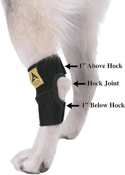 Agon® Dog Leg Braces For Back Leg wrap hock compression protects wounds and helps heal hind legs rear ankle joint, preventing injuries, sprains providing stability for dogs, canines arthritis (Medium)