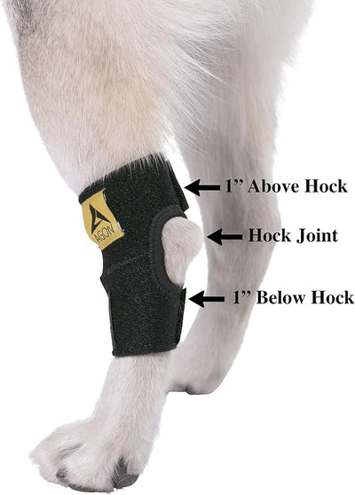 Agon® Dog Leg Braces For Back Leg wrap hock compression protects wounds and helps heal hind legs rear ankle joint, preventing injuries, sprains providing stability for dogs, canine arthritis (X-Small)