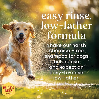 Burt's Bees for Pets Itch Soothing Dog Shampoo with Honeysuckle, 95% Natural Origin, pH Balanced, No Sulfates, Parabens, or Phthalates, Relieves Itchy Skin, 32 Fl Oz - 2 Pack