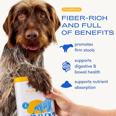 Native Pet Pumpkin for Dogs - Organic Dog Food Topper Powder - Promotes Firm Stools, Supports Digestive, Bowel Health & Nutrient Absorption - USDA Organic, Rich in Fiber with Real Pumpkin - 60 Scoops