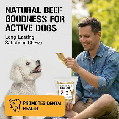 Dog Chits Cow Ears for Dogs – All Natural Cow Ear Dog Treats & Training Chews – High Protein, Low Fat – Thick Cut, Full-Sized – Dental Clean Crunch – Ideal for Medium & Large Dogs – Large, 10 Pk