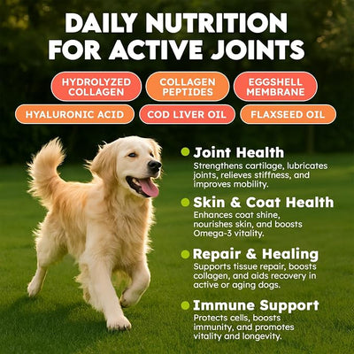 Collagen for Dogs - 150 Chews - Joint, Skin & Coat Supplement with Hyaluronic Acid, Eggshell Membrane & Vitamin C - Daily Hip & Joint Support for Senior Dogs & Puppies - Chicken