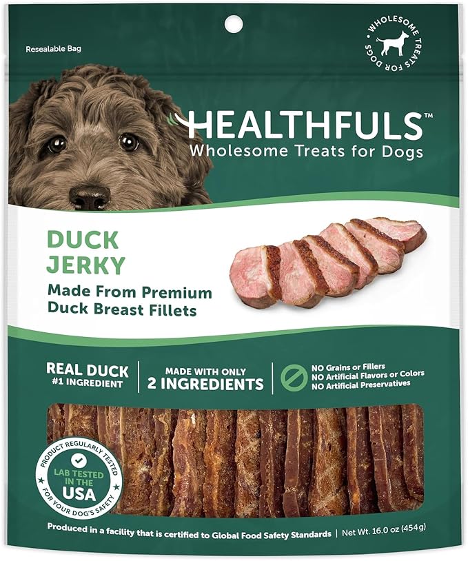 Duck Jerky Healthy Dog Treats – Grain Free, Real Duck Breast Fillets, No Fillers or Artificial Ingredients, All Life Stages – 16 ounces