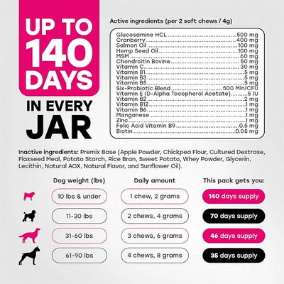 24-in-1 Dog Multivitamin Chews – Dog Vitamins and Supplements with Glucosamine, Chondroitin, Probiotics, Salmon Oil, Biotin – Daily Mobility, Digestion, Skin and Coat Support, Beef Flavor