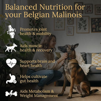 Belgian Malinois Multivitamins, 90 Count, Made in the USA with Real Bacon.