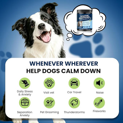 Calming Chews for Dogs, Dog Calming Chews Melatonin Anxiety Relief Bites | Dog Melatonin calming treats, Sleep Aid for Small Medium Large Dogs, Thunder, Noise, Barking, Separation Anxiety, 140 Chews