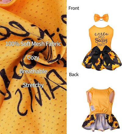 CuteBone Dog Mesh Dress Puppy Sundress Pet Outfit Summer Fashion for Small Dogs Girl Cat Clothes