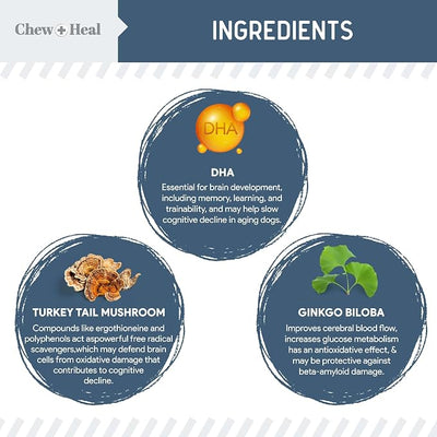 Chew + Heal Labs Senior Dog Vision and Cognition Chews - 60 Soft Chews for Dog Eye Care and Memory - 7-in-1 Multivitamin with Omega Fatty Acids, Vitamins, and Botanicals - Made in the USA