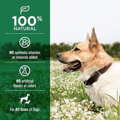 Nature's Logic All Natural Beef Tendon Chew - 100% Natural Treats for Dogs - Promotes Dental Hygiene - Recreational Chewing Dog Chews for Large and Small Breeds, Made in USA - Beef Tendon Treat