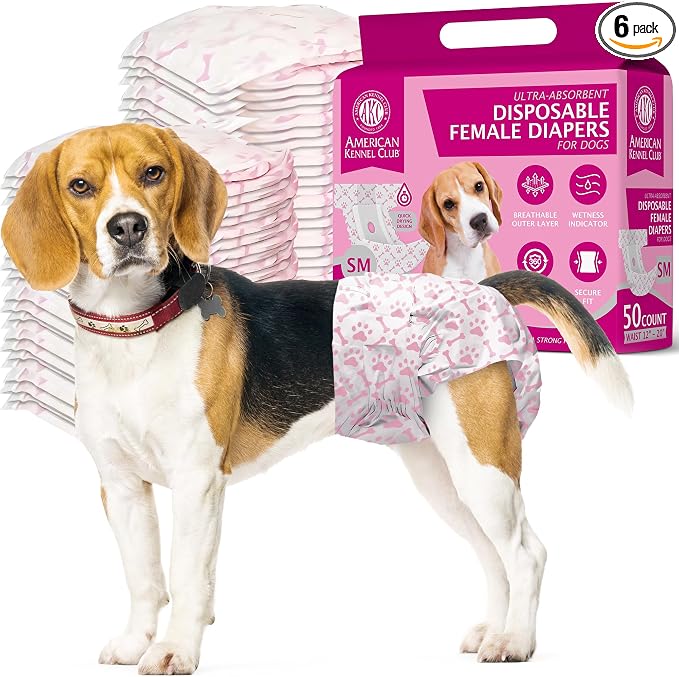 American Kennel Club Dog Diapers, Small, Female | Disposable | Wetness Indicator | 50 Count, Pack of 6