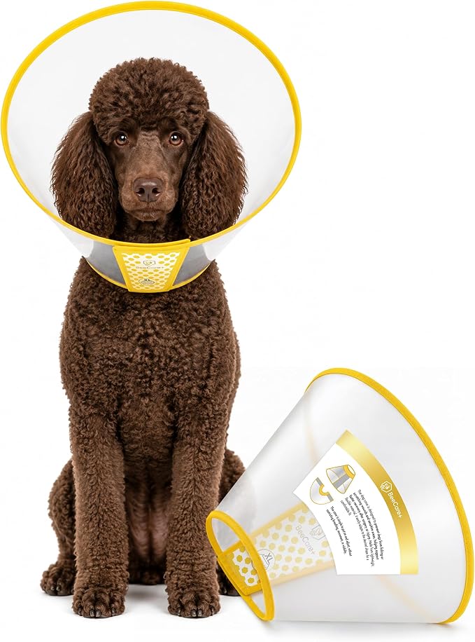 Cone for Dogs to Stop Licking for Post-Grooming Irritations – Adjustable Dog Cone Alternative Prevents Scratching After Surgery – Elizabethan Collar for Medium Dogs – Fits 16.1–18.9 in Necks