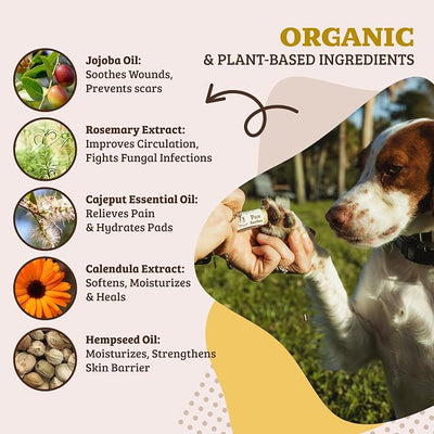 Natural Dog Company Paw Soother Balm Bundle, with 4 Travel Sticks (0.15 oz Each), Lotion, Moisturizes & Soothes Irritated Paws & Elbows, Protects from Cracks & Wounds, Lick-Safe, Made in USA