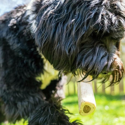 Cadet Stuffed Shin Bone, Long Lasting Dog Bones for Aggressive Chewers, High Protein Filled Dental Chew, Bully Stick Beef Flavor Filling, 5-6" for Large Dogs