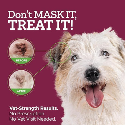 Vetality Medicated Otic Drops for Dog Ear Infection Treatment, 2 fl oz