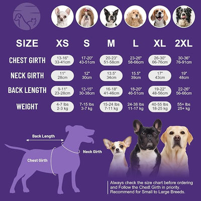 cyeollo 2pack Dog Surgery Recovery Suit for Female Male Dogs Cats Soft Breathable Dog Onesie After Spay, Neuter, Anti-Licking Pet Surgical Recovery Snugly Suit Bodysuit, Pink & Purple, L