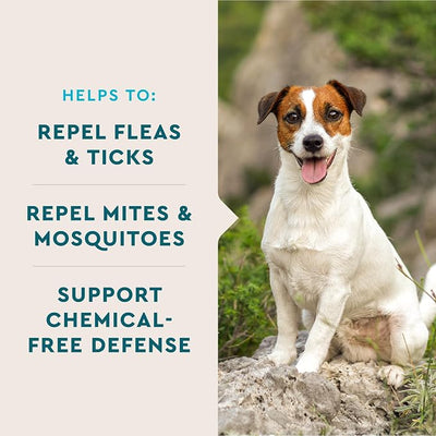 VetIQ Flea & Tick Support for Dogs, Flea and Tick Chewable, Supports Dog's Natural Flea Defenses, Free of Added Chemicals and Garlic, Hickory Smoke Flavor, 90 Count