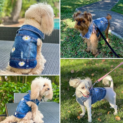 Pet Clothes Vintage Denim Dog Jacket with Daisy Embroidery - Puppy Stylish Pet Coat for Chihuahua, Yorkie Small Breeds - All-Season Comfort (Blue,Small)