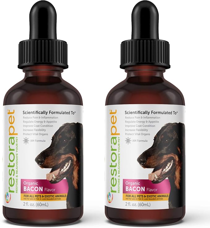 2-Pack Dog & Cat Bacon Liquid Multivitamin | Dog Arthritis Pain Relief | Hip & Joint Vitamins for Dogs - Anti Inflammatory Supplement for Dogs & Cats | Plant-Based & Non-GMO, Vet Approved