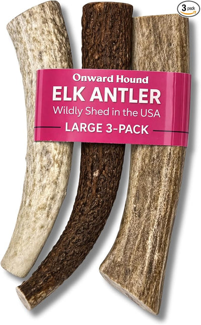 Onward Hound Elk Antlers for Dogs, 7 Inch+ Large Whole Antler Chews, Natural Dog Antlers for Aggressive Chewers, Long Lasting Dog Chew, Single Ingredient, Low Odor No Greasy Mess, Made in USA, 3-Pack