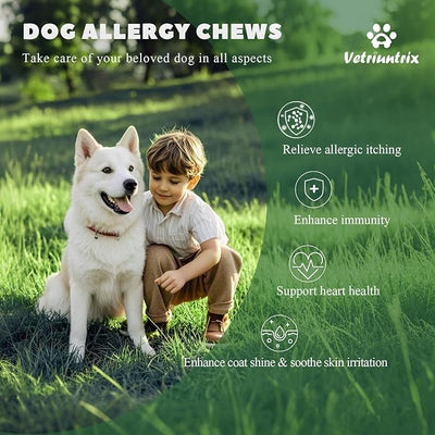 Dog Allergy Chews - Dog Allergy Relief & Immune Supplement with Probiotics, Colostrum & Omega 3 - Supports Skin & Coat Health, Soothes Paw Licking - Chicken Flavor, 200 Soft Chews