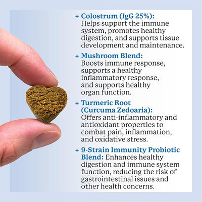 Dr. Harvey's Dog Allergy & Anti-Itch Relief Soft Chew Supplement Bites for Dogs, Daily Immune & Digestive Health Support with Functional Mushrooms, Super Herbs, Probiotics, Salmon Flavor (90 Chews)