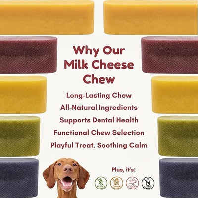 Majestic Pet Himalayan All-Natural Cheese Dog Chews - Long Lasting Dental Chew for Dogs - Healthy Pet Treats with Beneficial Ingredients (Variety Pack, Large, 20 Pack)