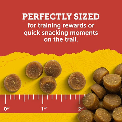 Zuke's Mini Naturals Dog Training Treats for Dogs, Real Salmon Flavor - 10 oz. Pouch