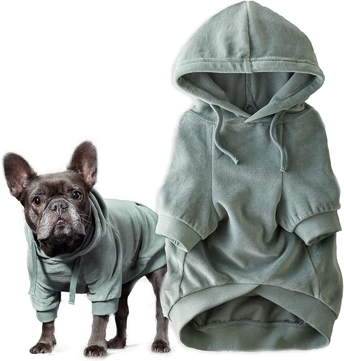 Cooper II Organic Cotton Velour Dog Hoodie Pet Coat for Small, Medium and Large Dogs, Sage, Large (40-60 lbs)
