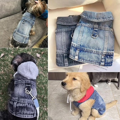 Dog Jeans Jacket for Small Dogs Boy, Puppy Denim Jacket with Leash D-Ring, Pet Cat Vest Clothes T-Shirts for Small Dogs, Puppy, Pugs, Chihuahuas, Yorkie,Teacup (Black, X-Large)