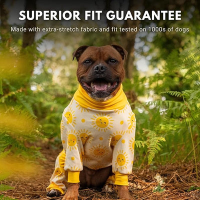 Spark Paws Dog Pajama, Dog Recovery Suit Male, Onesie, Ultra-Soft and 4-Way Stretch, for Small Medium and Large Breeds - Sunshine - 5XL