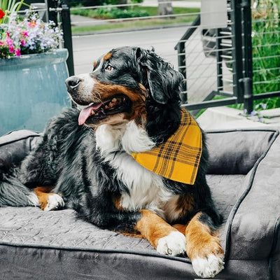 Fall Dog Bandana-Adjustable Cute Triangle Pet Scarf for Boys and Girls, Yellow & Black, Large