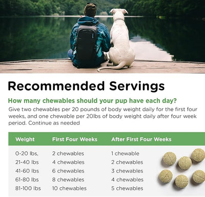 Nutri-Vet Grass Guard Chewables, Lawn Burn Prevention, Dog Urine Neutralizer for Grass, Gut Health Support with Probiotic and Enzymes, Dog Probiotics, Pet Supplement Tablets, 150 Count (Pack of 2)