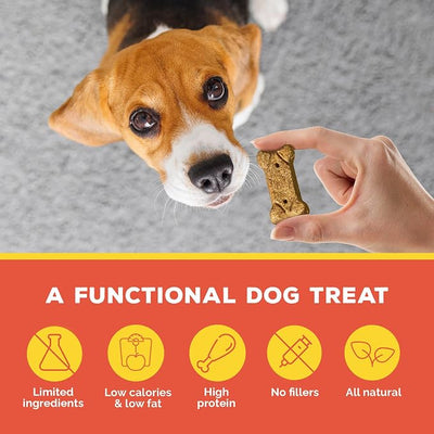 Brutus Bone Broth Biscuits for Dogs - Protein-Rich Dog Treats with Bone Broth and Real Pork & Apple - All Natural and Tasty - 8oz, Pack of 2, Pork and Apple Flavor