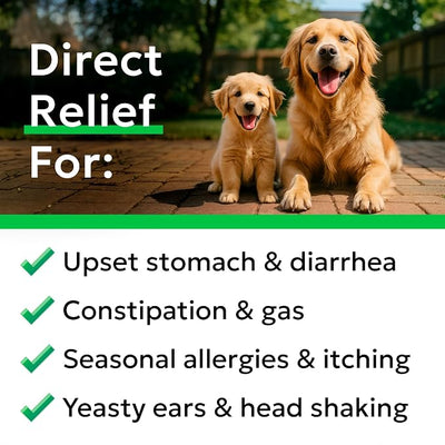 Bark&Spark Probiotics for Dogs - Digestive Enzymes (Gut Health) Allergy & Itchy Skin - Pet Diarrhea Gas Treatment Upset Stomach Relief Pill, Digestion Health Tummy Treat (180Ct Bacon)