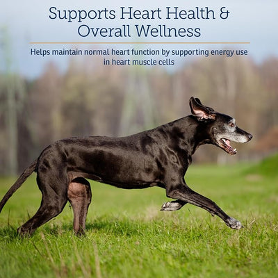 Rx Vitamins LiquiCarn - Pure L-Carnitine for Dogs and Cats to Aid in Dog Weight Loss - Provides High Energy and Helps in Metabolism - Supports Heart Health - 4oz (Bacon-Liver Flavor)