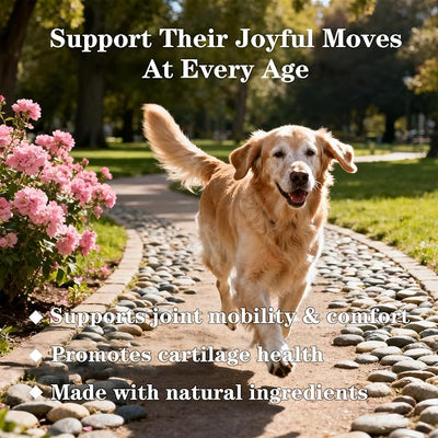 Advanced Dog Hip & Joint Chews - Concentrated with Glucosamine, Chondroitin, High-Potency MSM & 7X Omega-3-185 Chicken Chews for All Breeds - Supports Joint Pain Relief & Senior Dog Mobility