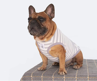 iChoue English Bulldog 100% Breathable Cotton Striped T Shirts Halloween Vest Clothes for Medium Dogs Tank Tops French Frenchie Pug Boston Terrier Pitbull Grey White Stripes - XXLarge