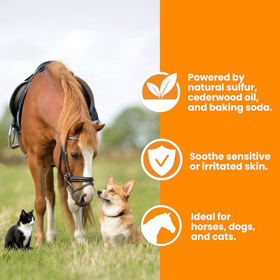 Healthy Paw Life Coat Silk Powder with Sulfur & Bentonite Clay - Natural Grooming Powder for Dogs, Cats, and Horses - Itchy Skin Support, Moisture & Odor Control - 6 oz