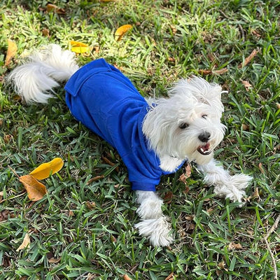 Jecikelon Soft Dog Hoodies for Small Dogs, Fleece Puppy Sweatshirt with Pockets, Warm Winter Cold Weather Coats for Pet Cat, Cute Clothes Puppy Costume (Dark Blue, X-Large)