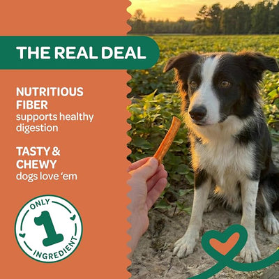 Wholesome Pride Healthy Sweet Potato Fries – Sensitive Stomach Dog Treats, No Preservatives, Single-Ingredient, No Grain, 8 oz