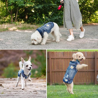 Dog Denim Jacket with Embroidered Daisy, Ripped Vintage Jean Vest for Small Dogs, Pugs, Chihuahuas, Spring Summer Fall Festival Outfit, X-Large (Fits Chest 17-18")