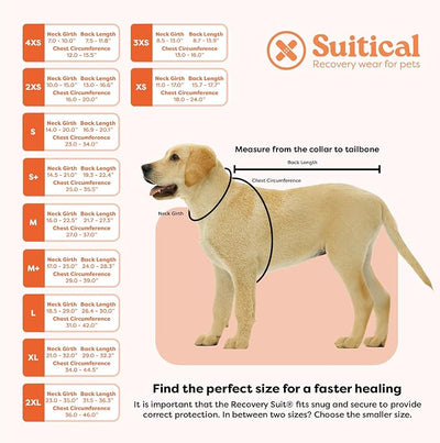 Suitical Recovery Suit for Dogs - Dog Surgery Recovery Suit with Clip-Up System - Breathable Fabric for Spay, Neuter, Skin Conditions, Incontinence - 13.0-16.5 Inches Neck to Tail - XXS, Black