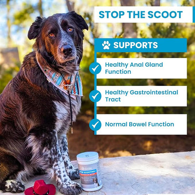 PawMedica Dog Anal Gland Chews to Stop Scoot for Dogs - Anal Gland Dog Constipation Relief - Recommended Dog AnalGland Support Chews Fiber - Fiber Supplement for Dogs (120 Dog Pumpkin Chews)