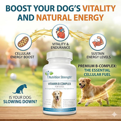 Vitamin B for Dogs, Complete B Complex for Dogs, Promote Blood Cell & Nervous System Health, Help Sustain Cellular Energy Production & Maintain Brain Function, 120 Chewable Tablets