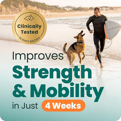 VetriScience Extra Strength Healthy Hip & Joint Chews, GlycoFlex Glucosamine & Green-Lipped Mussel Support Supplement for Dogs, Promote Mobility & Soothe Joint Discomfort, Chicken, 3 Pack